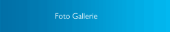 Foto Gallerie